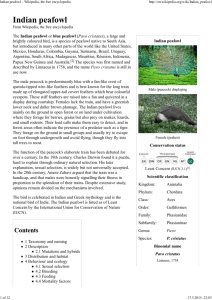 Indian peafowl - Wikipedia, the free encyclopedia