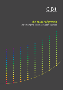 The Colour of Growth: Maximising the potential of green business