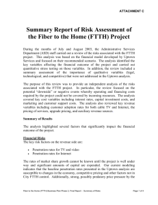 Summary Report of Risk Assessment of the Fiber