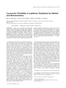 Blanchard ML 2015 Locomotor flexibility in Lepilemur explained by