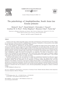 The paleobiology of Amphipithecidae, South Asian late Eocene