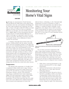 Monitoring Your Horse's Vital Signs