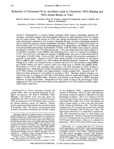 Reduction of Chromium(V1) by Ascorbate Leads to Chromium