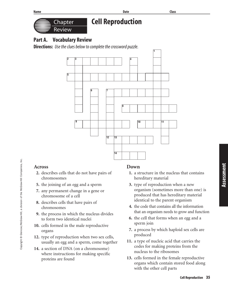 Chapter 22 Resource: Cell Reproduction In Cell Reproduction Worksheet Answers