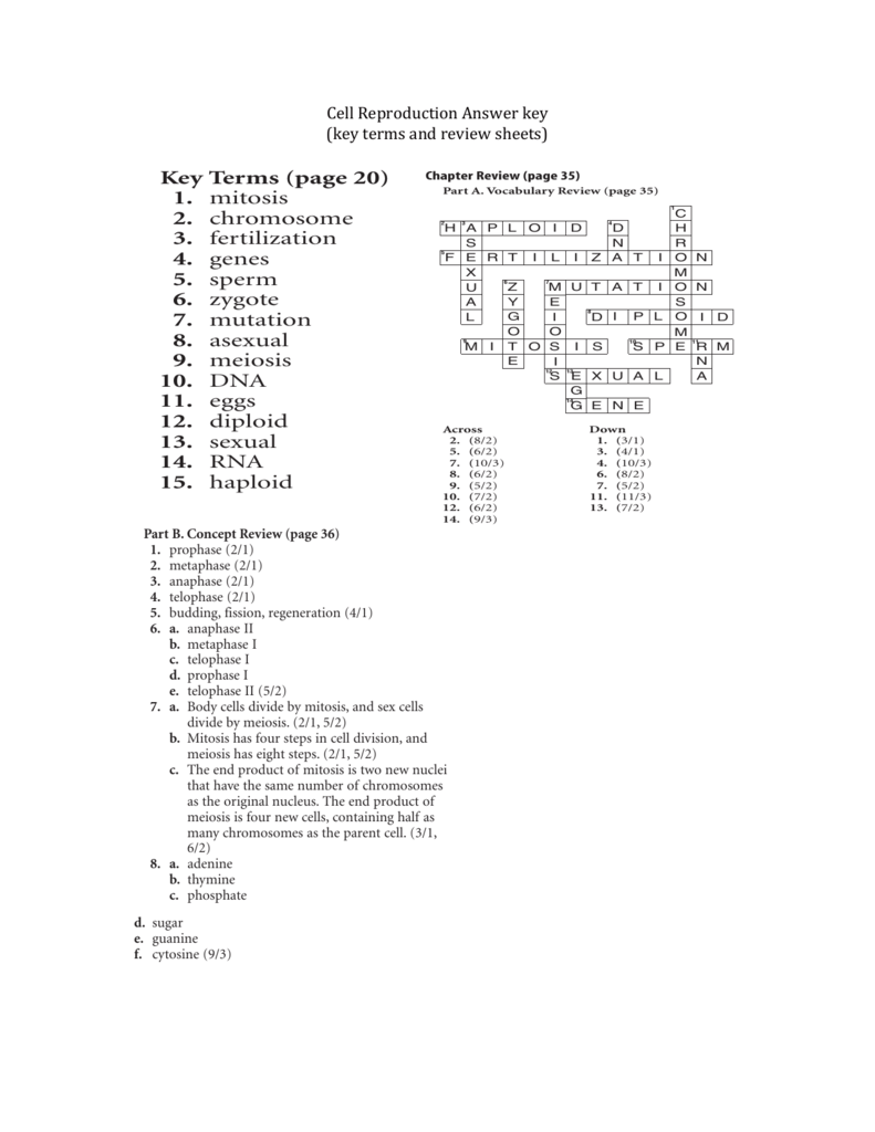 Cell Reproduction Answer key Inside Cell Reproduction Worksheet Answers