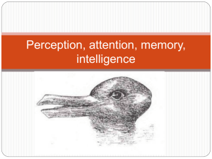 Perception, attention, memory, intelligence