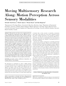 Motion Perception Across Sensory Modalities
