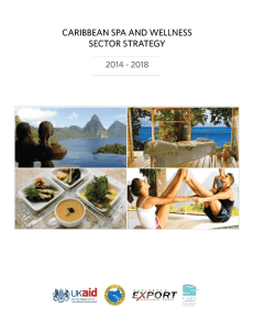 Caribbean Spa and Wellness Strategy (2014