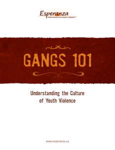Gangs 101 - Understanding the Culture of Youth Violence