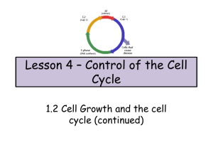 Lesson 4 – Control of the Cell Cycle