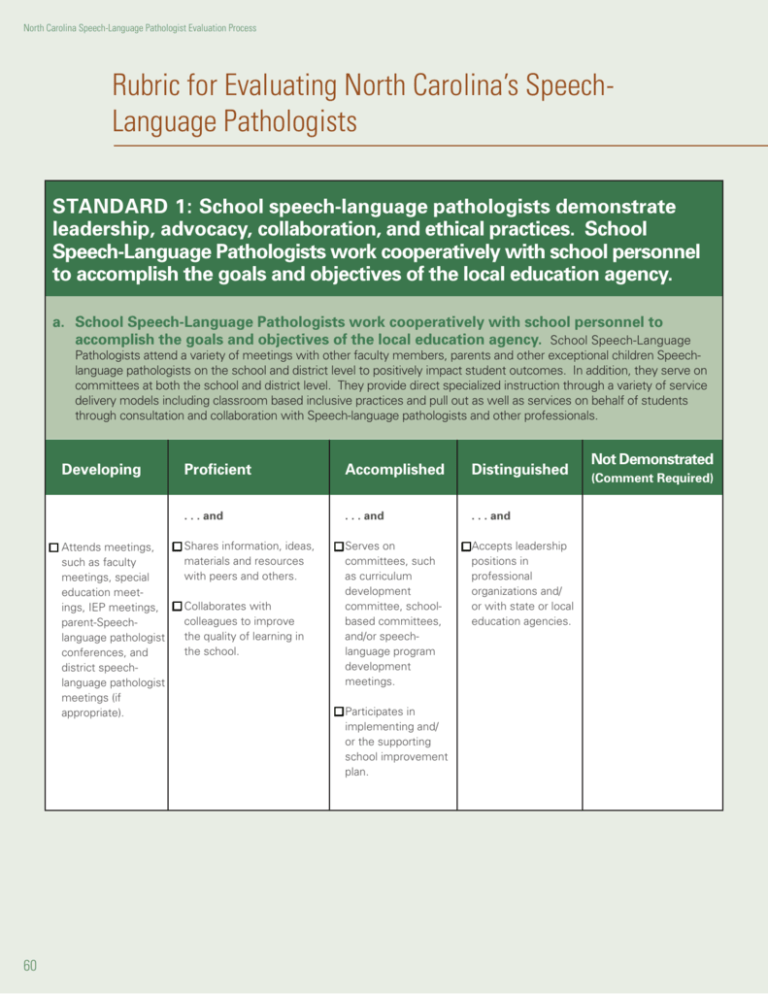 speech language pathologist evaluation rubric