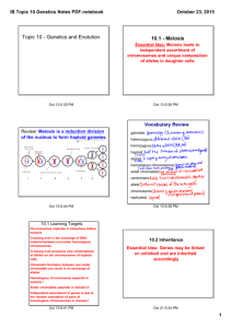 IB Topic 10 Genetics Notes PDF.notebook