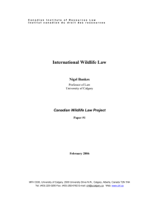 International Wildlife Law