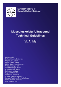 Musculoskeletal Ultrasound Technical Guidelines VI