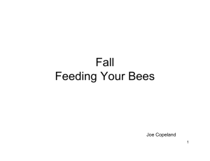 Fall Feeding Your Bees Presentation