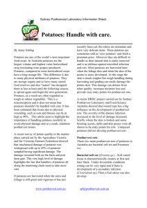 Potatoes - Handle with care - Sydney Postharvest Laboratory