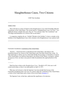 Slaughterhouse Cases, Two Citizens