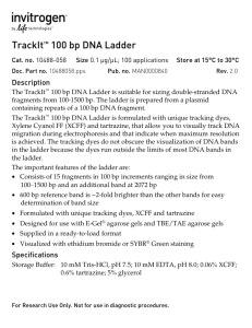 TrackIt™ 100 bp DNA Ladder