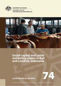 Social capital and cattle marketing chains in Bali and