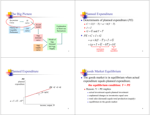The Big Picture Planned Expenditure Planned Expenditure Goods