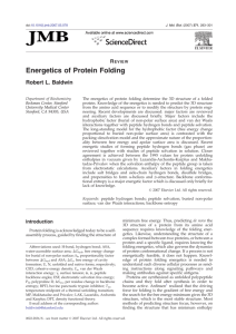 Energetics of Protein Folding - Robert "Buzz" Baldwin + Emeritus