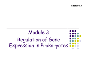 Module 3 Regulation of Gene Expression in Prokaryotes