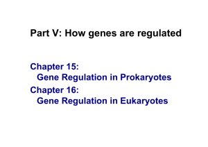 Chapter 15: Gene Regulation in Prokaryotes