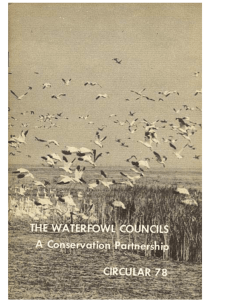 The Waterfowl Councils