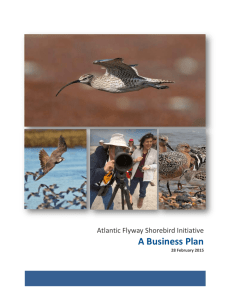 Atlantic Flyway Shorebird Business Plan