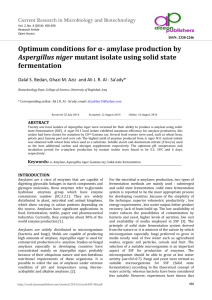 Optimum conditions for α- amylase production by Aspergillus niger
