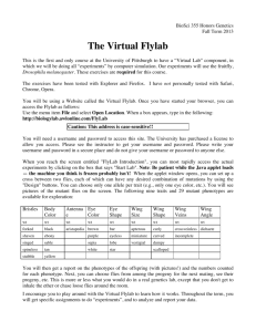 Virtual Flylab 13