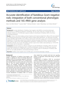 Accurate identification of fastidious Gram-negative