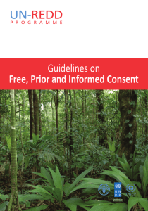 Guidelines on Free, Prior and Informed Consent