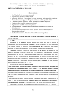 UNIT 11. CATABOLISM OF GLUCOSE • Aerobic glycolysis: scheme