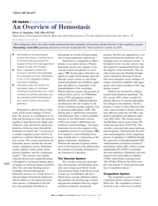 An Overview of Hemostasis
