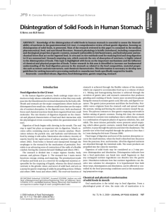 Disintegration of Solid Foods in Human Stomach