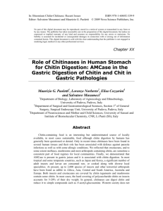 Role of Chitinases in Human Stomach for Chitin Digestion: AMCase