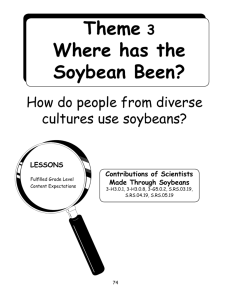 Theme 3 Where has the Soybean Been?