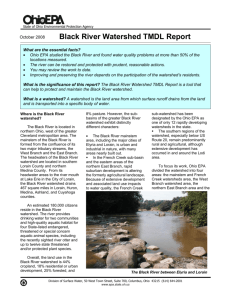 Black River Watershed TMDL Report