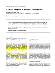 A step by step guide to phylogeny reconstruction