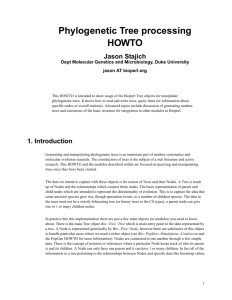 Phylogenetic Tree processing HOWTO