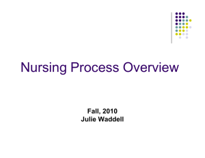 Nursing Process Overview