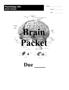 Brain Packet - Lakewood High School
