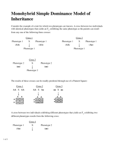 Monohybrid Simple Dominance Model of Inheritance