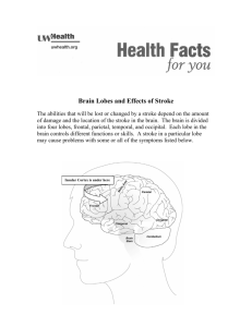 Brain Lobes and Effects of stroke