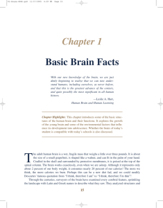 Chapter 1 Basic Brain Facts