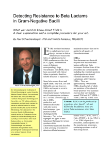 Detecting Resistance to Beta Lactams in Gram Negative Bacilli