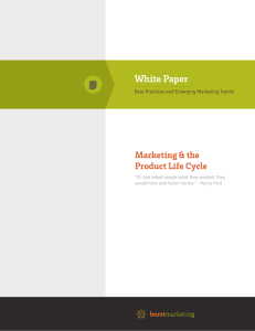 White Paper - Burst Marketing