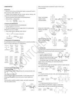 Carbohydrate worksheet