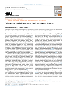 Telomerase in Bladder Cancer: Back to a Better Future?